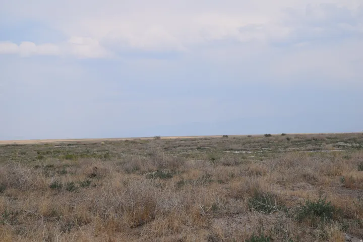 Expansive open land featuring natural vegetation and a clear sky