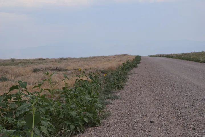 Gravel road extending through open terrain
