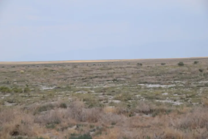 Expansive open land featuring a flat horizon and sparse, natural vegetation
