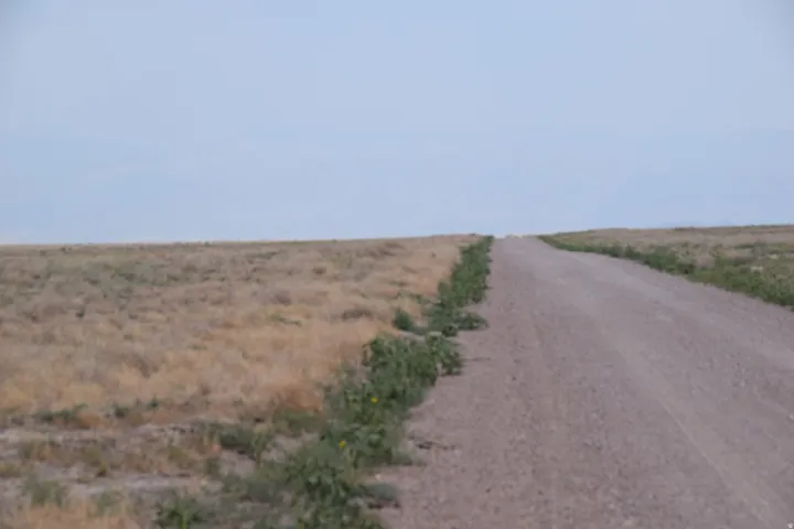 Gravel pathway extending into the horizon, bordered by natural vegetation and expansive open land
