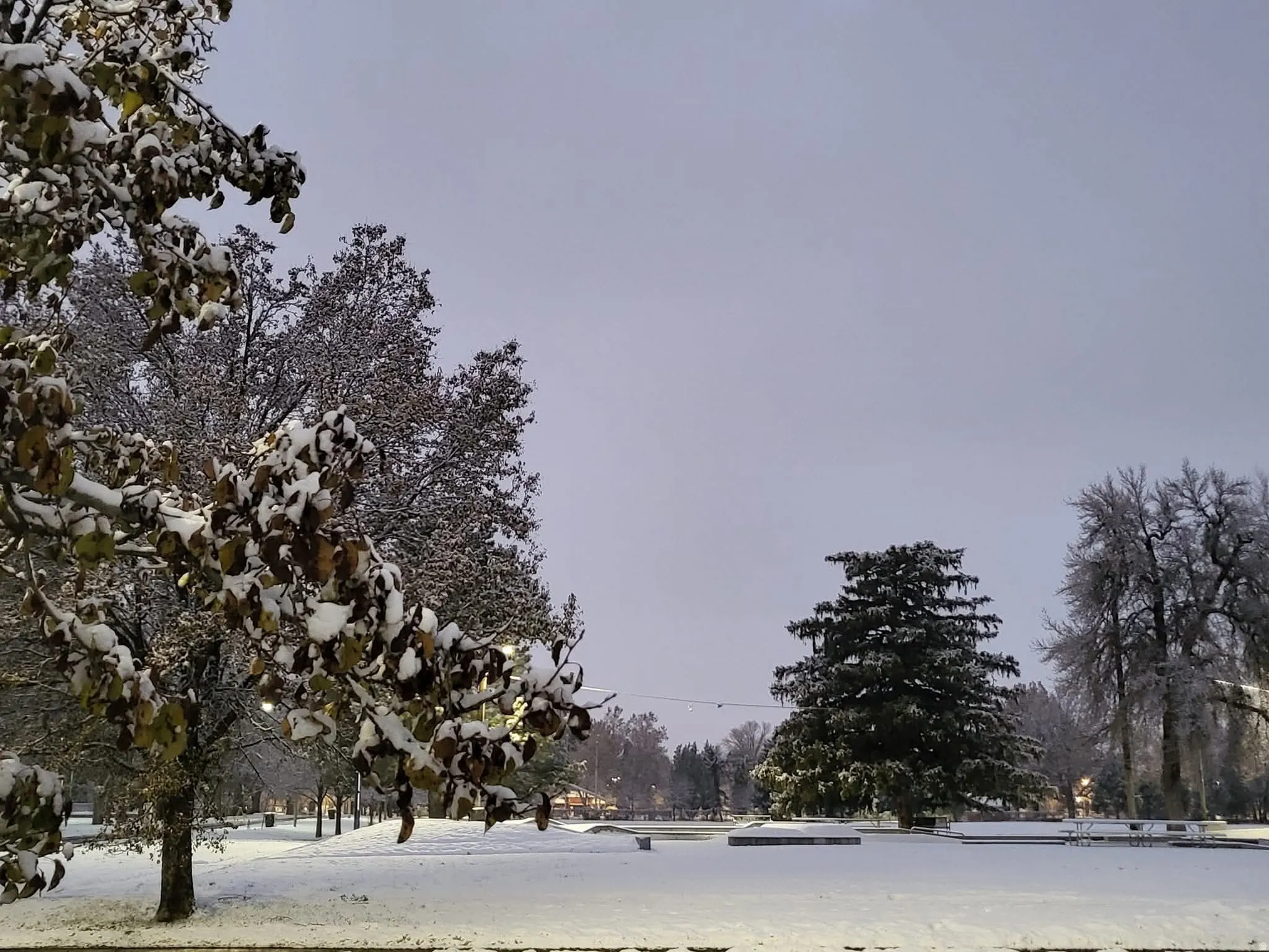Winter Photo of Park Across the Street