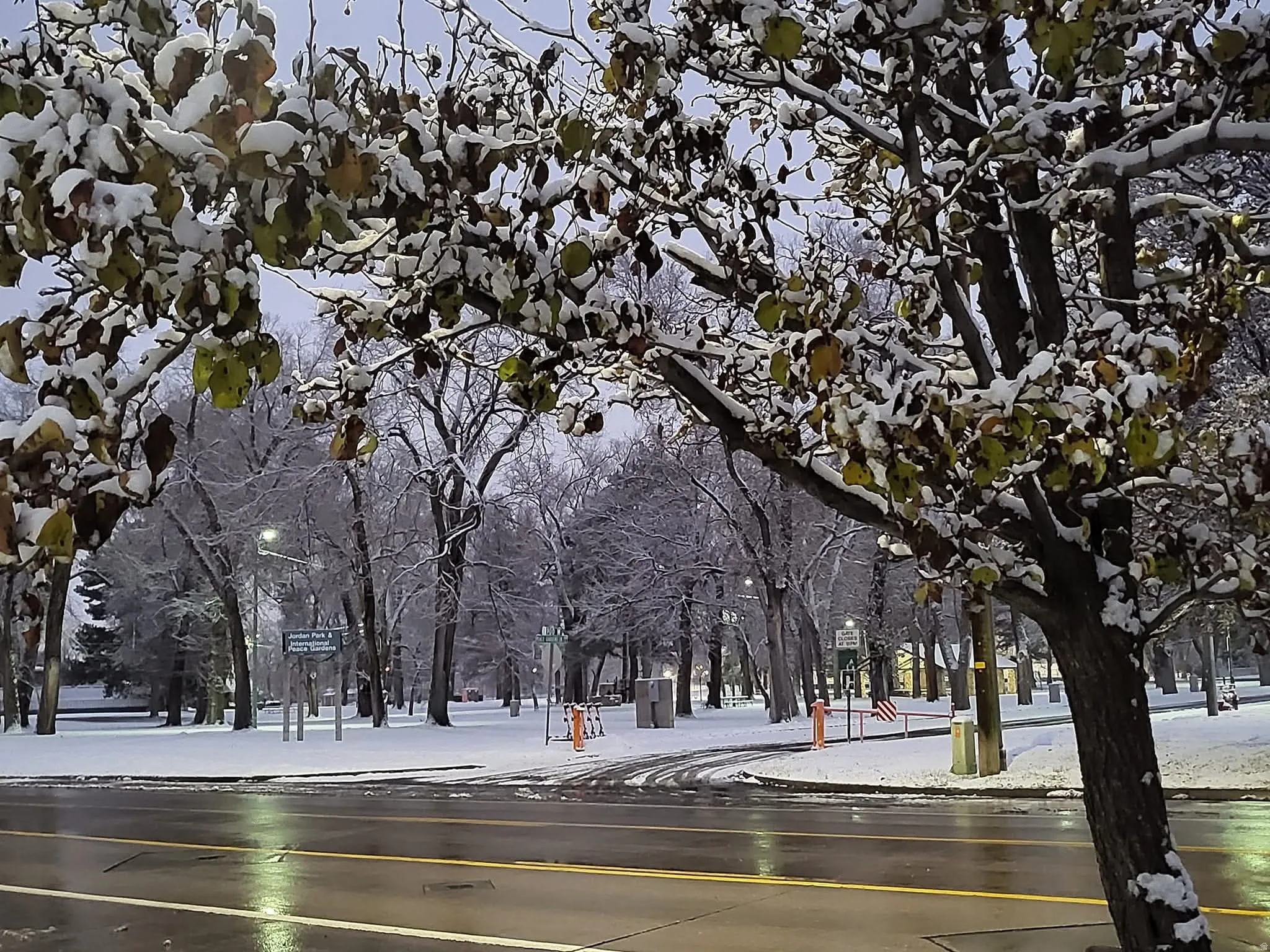 Winter Photo of Park Across the Street