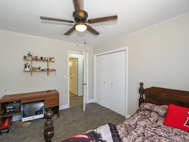 Neutral wall color, ceiling fan with integrated lighting, textured carpeting, and white bi-fold closet doors
