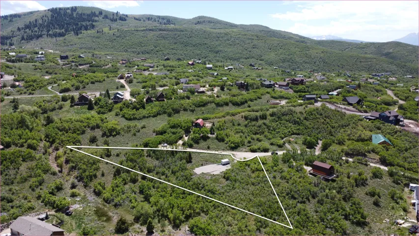 Expansive undeveloped lot featuring mature trees and natural landscaping