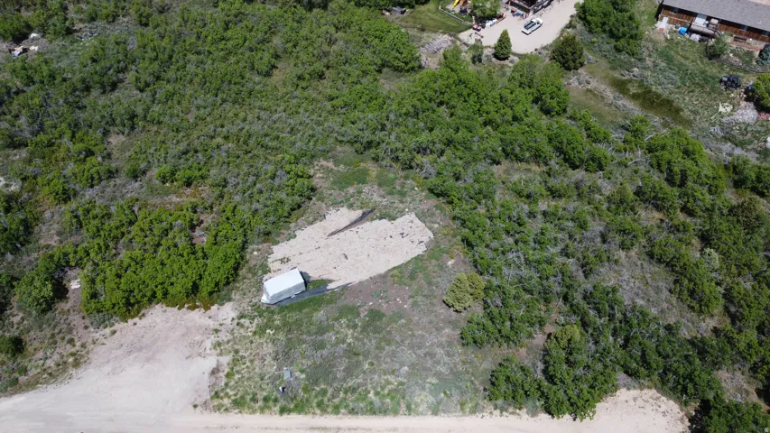 Expansive undeveloped land featuring natural terrain and abundant greenery