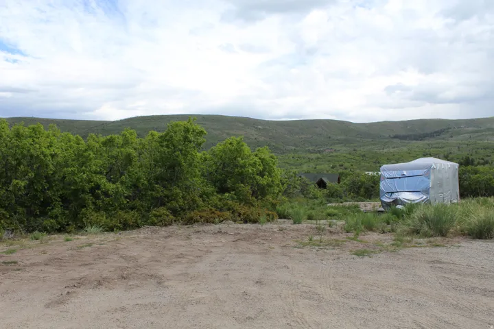 Expansive natural landscape with rolling hills and abundant green foliage