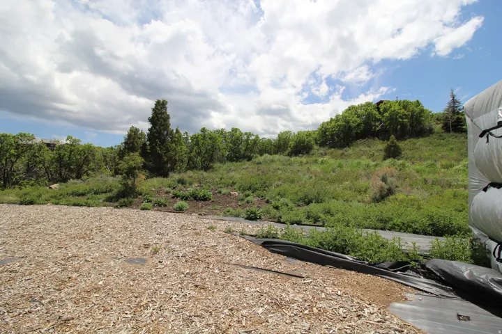 Expansive natural landscape featuring a sloping terrain with varied greenery and mature trees