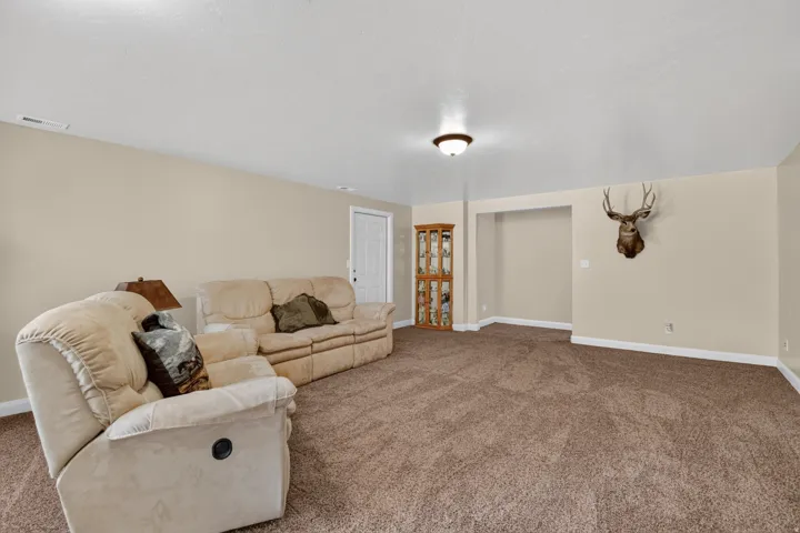 Basement Family Room