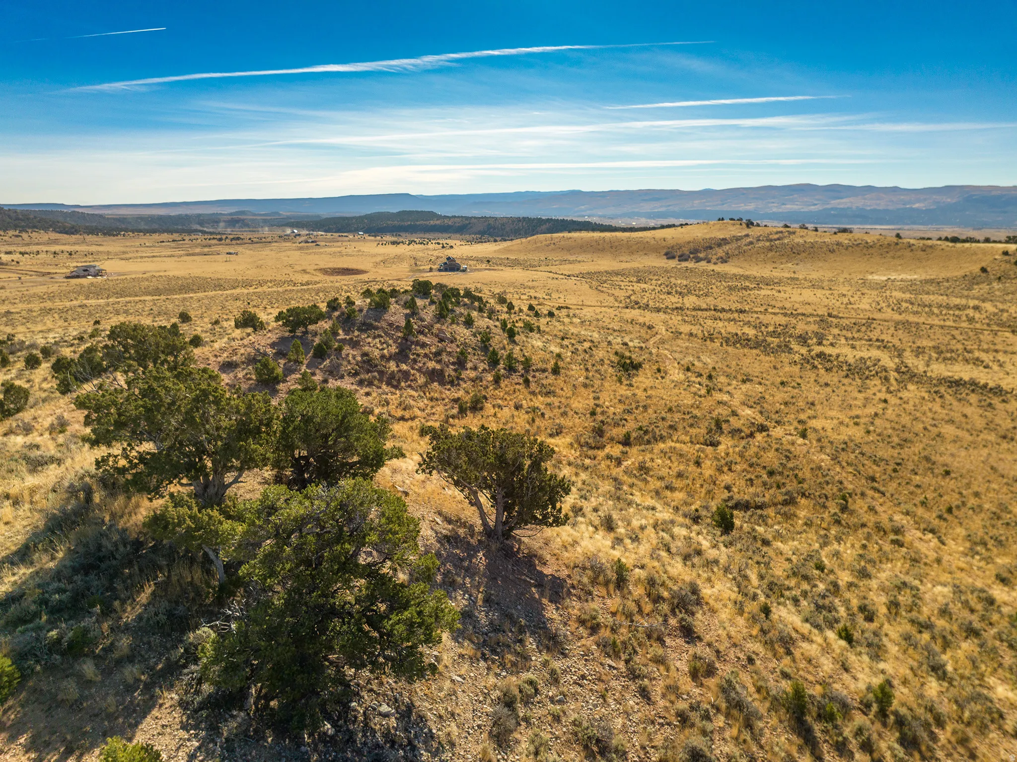 Expansive open land featuring diverse topography, scattered mature trees, and distant natural terrain