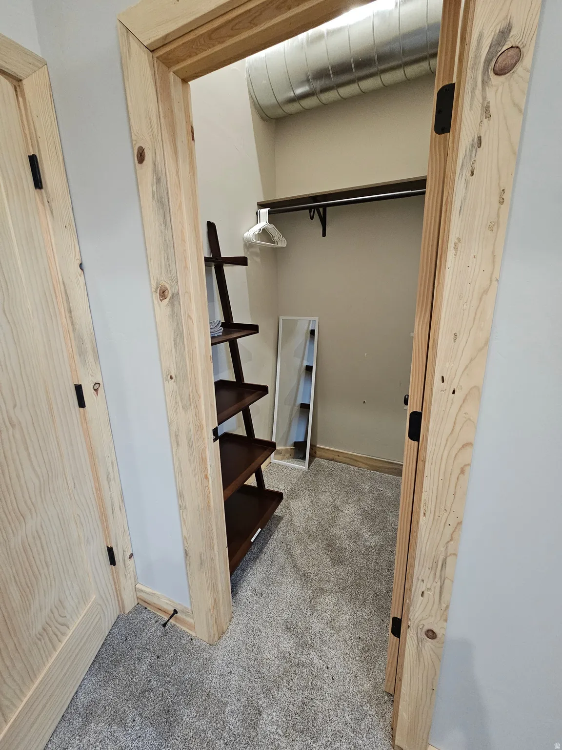Large Closet space featuring light wood-finish trim