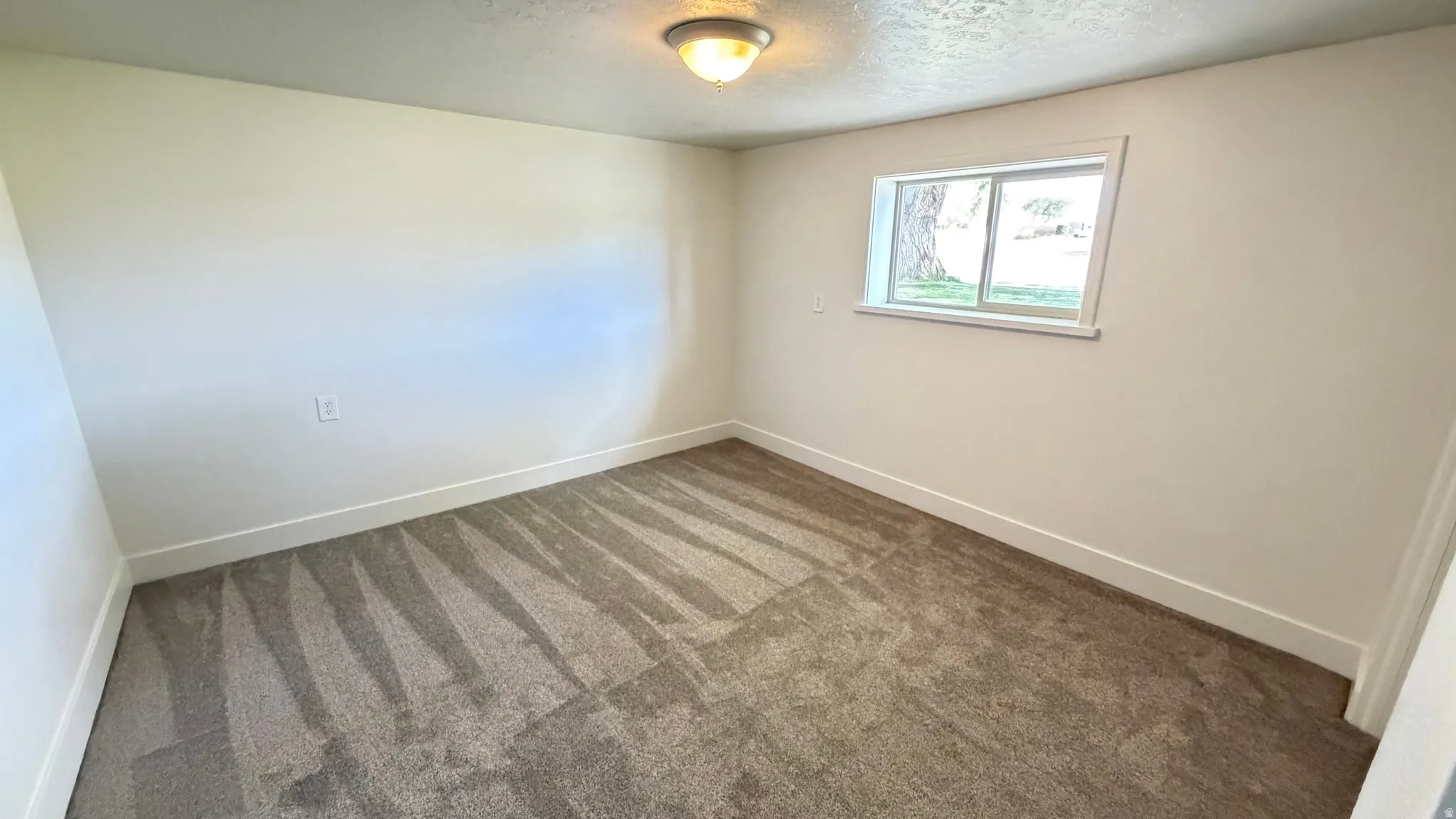 Neutral tone wall paint, new carpet flooring, white baseboards, and a window with white trim