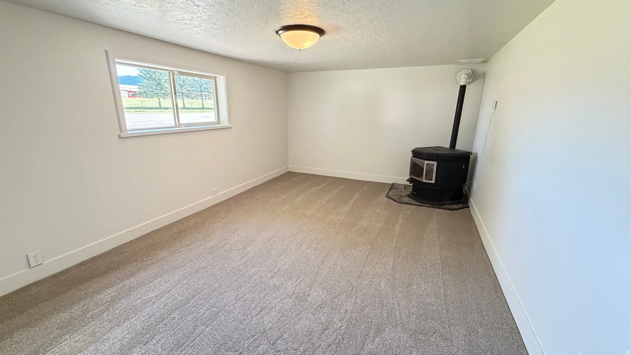 Room with light gray carpet, white walls, and a single double-pane window
