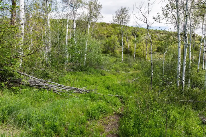749 W Tollgate Canyon Rd, Park City, Utah 84098