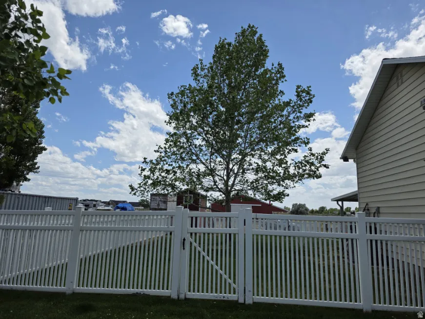 White picket fencing enclosing a grassy area with a mature tree