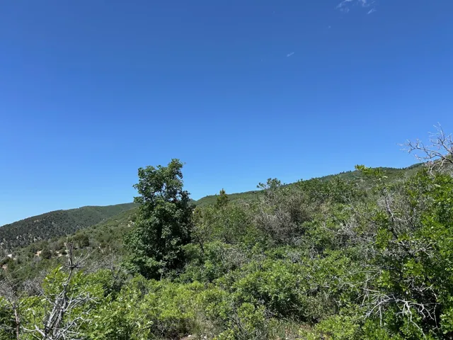 6 Pine Nut Way, Mt Pleasant, Utah 84647