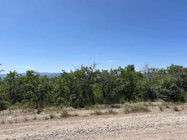 6 Pine Nut Way, Mt Pleasant, Utah 84647