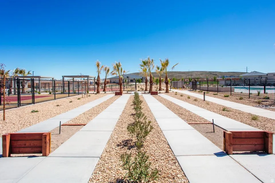 Landscaped common area featuring extensive concrete pathways, decorative gravel, and mature palm trees