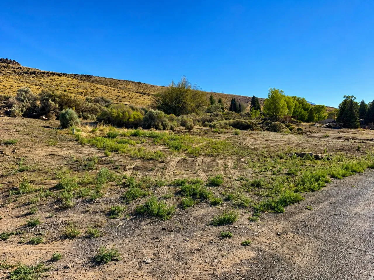 Expansive undeveloped lot featuring natural desert vegetation, a clear blue sky, and a distant hillside
