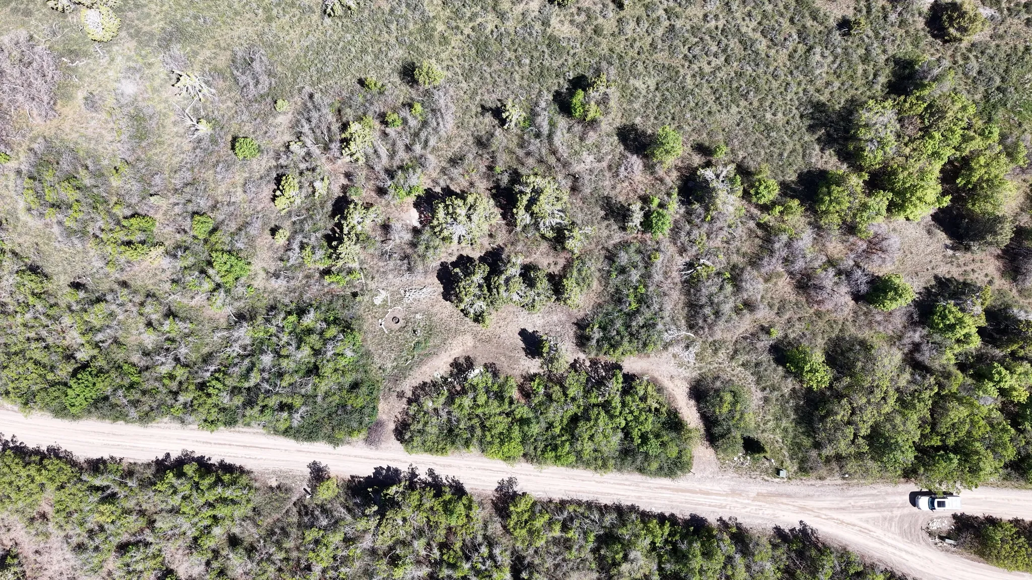 Expansive natural landscape featuring a dirt road traversing through varied vegetation