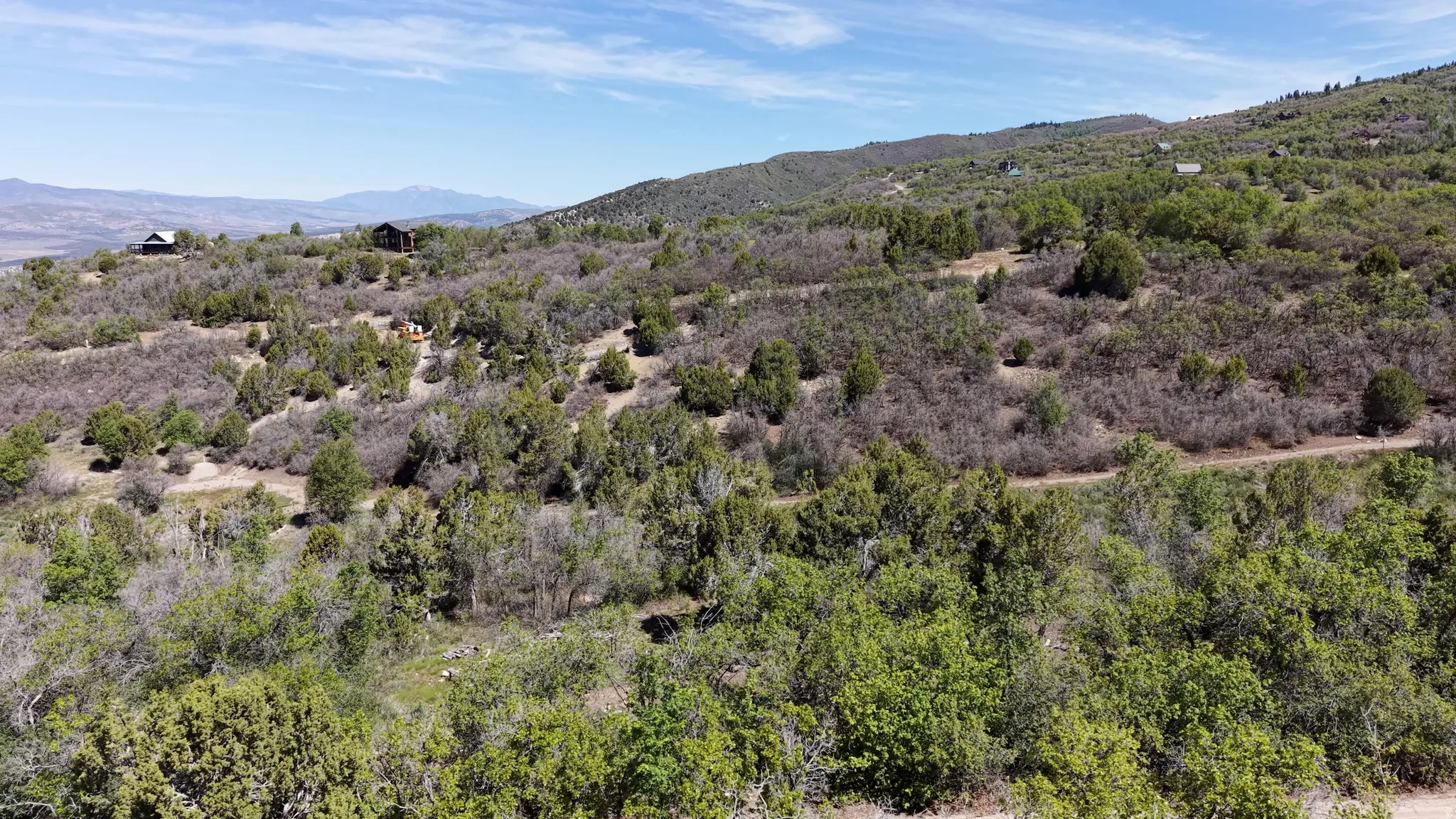 Expansive hillside terrain with varied foliage and distant mountain range backdrop