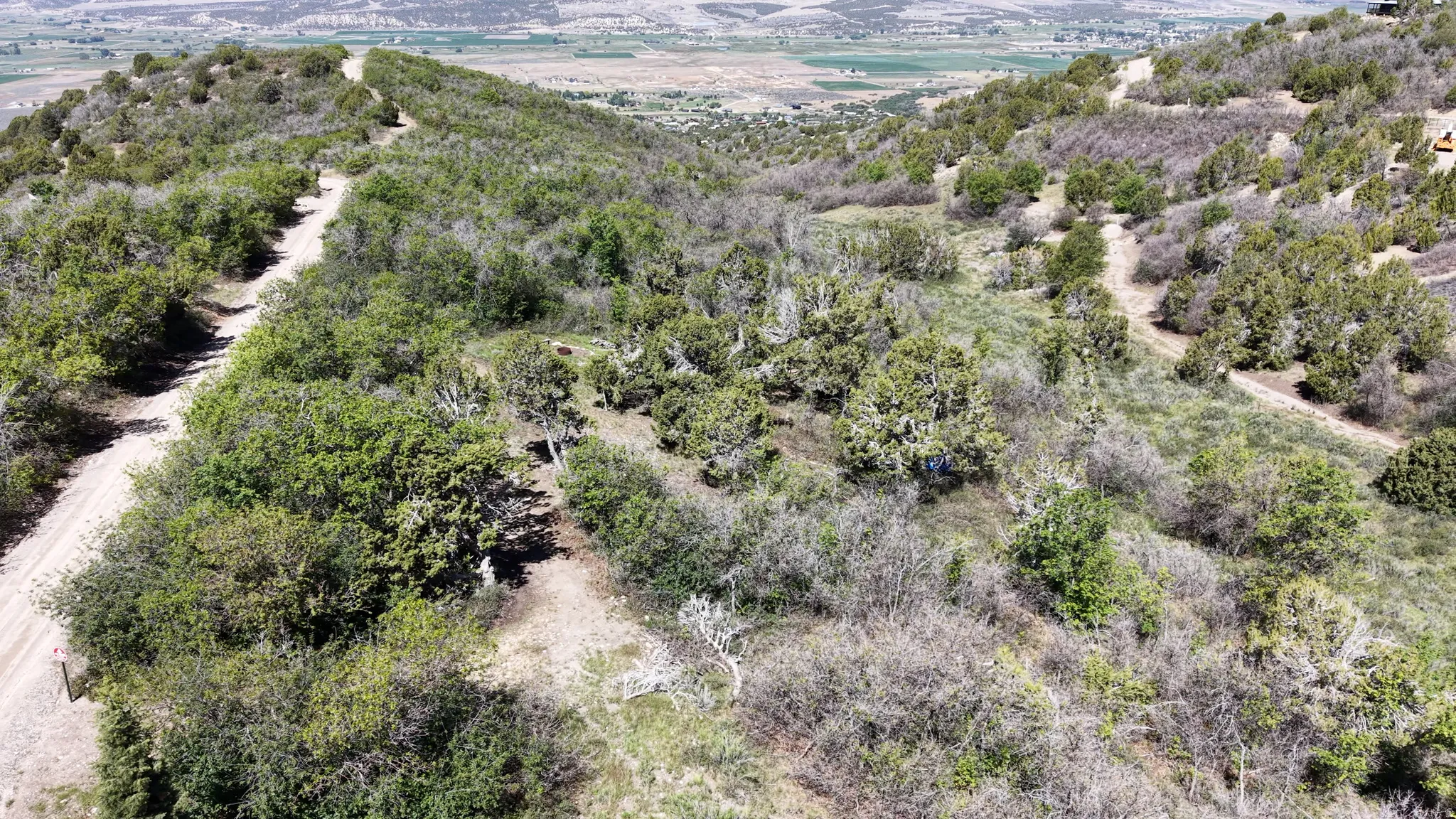 Expansive mountain property featuring varied topography, mature trees, and natural vegetation