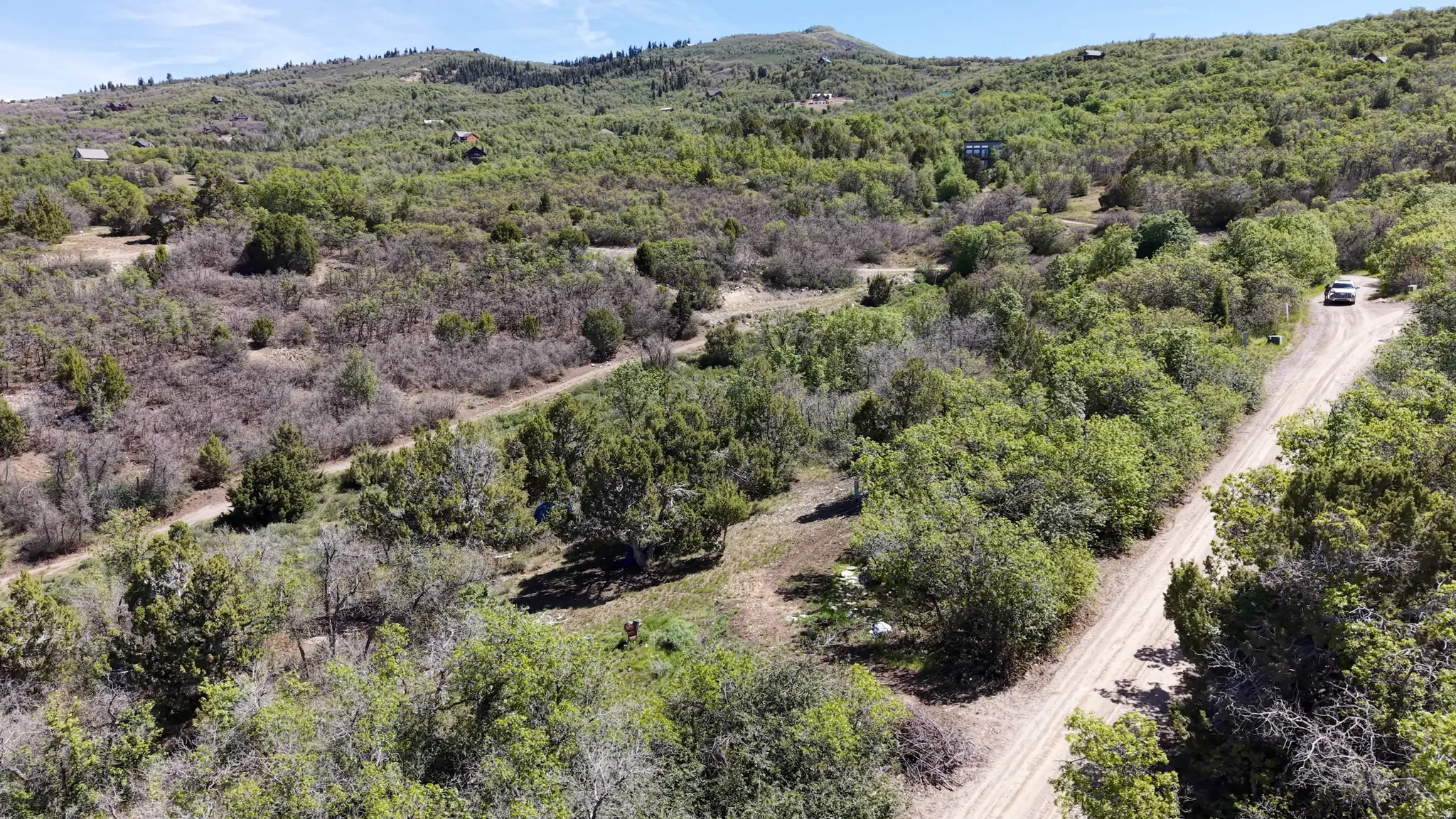Mountainous terrain with lush green foliage, interspersed with drier, sparse vegetation