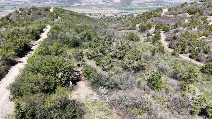 Expansive mountain property featuring varied topography, mature trees, and natural vegetation