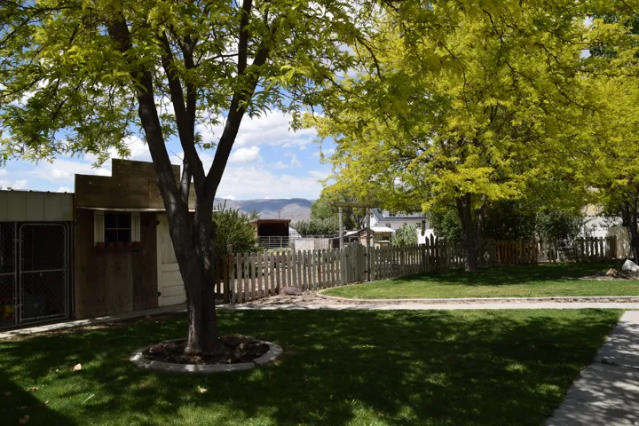Lush front yard with mature trees providing shade