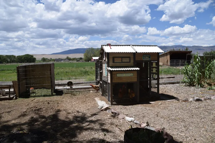 Outdoor structure featuring a corrugated roof, wood-finish siding, and integrated enclosures