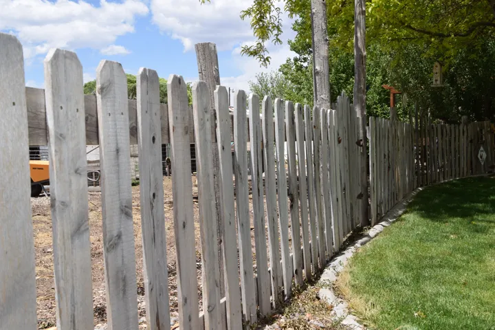 Natural wood picket fence with a curved profile, bordering a manicured lawn and mature trees