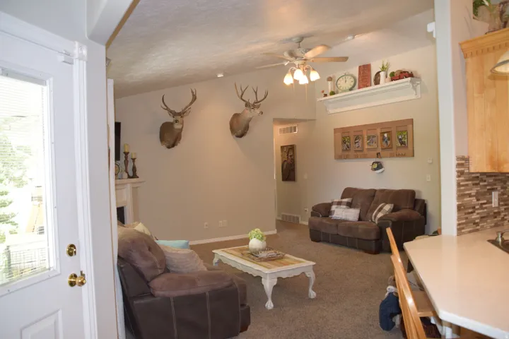 Living area with neutral wall tones and carpet flooring