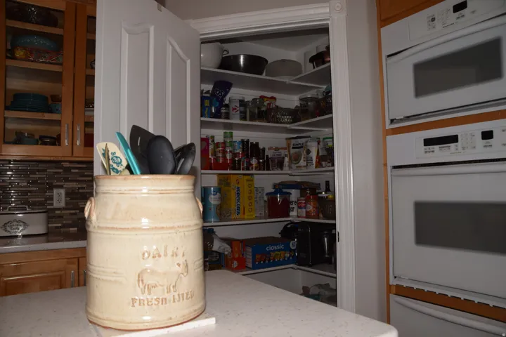 Walk-in pantry with extensive shelving