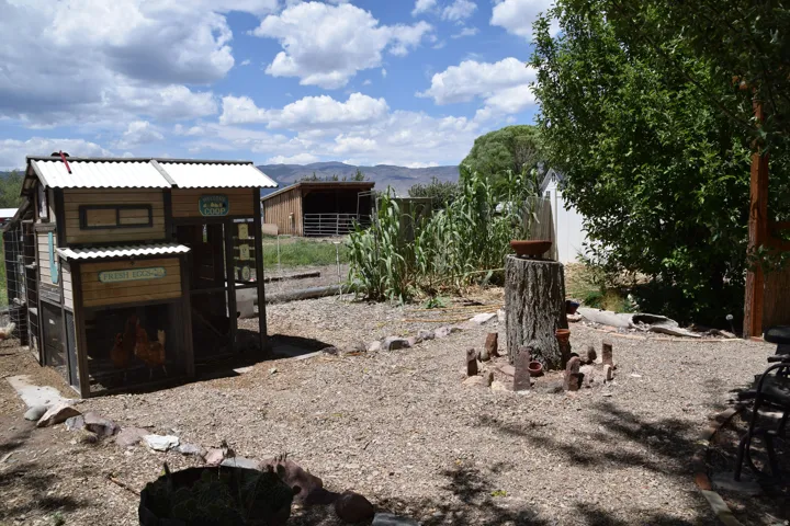 Backyard area featuring a multi-level chicken coop with corrugated metal roofing, a large tree stump, and a gravel-covered ground