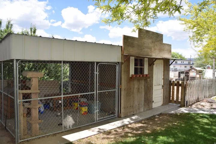 Outdoor enclosure featuring chain-link fencing, a metal roof, and an adjacent wooden structure with a window and solid wood door