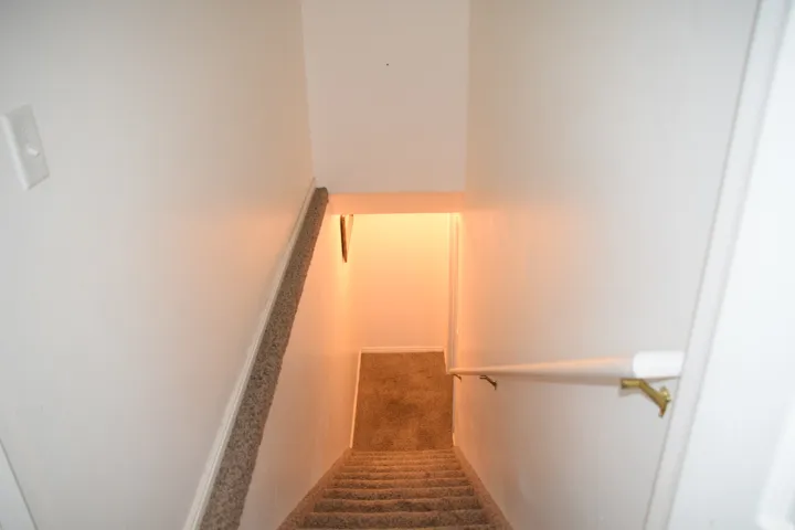 Carpeted staircase with white walls and a white handrail featuring brass-finish brackets