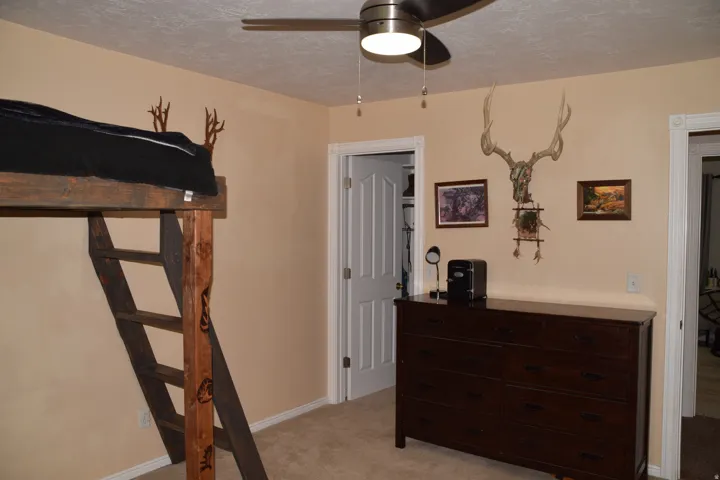 Carpeted room with a built-in wooden loft bed and ladder