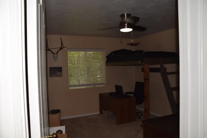 Room featuring neutral-toned walls and carpeted flooring