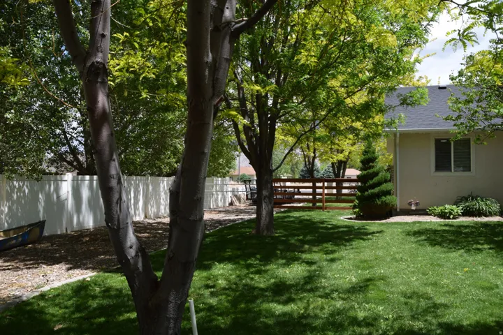 Expansive backyard featuring a lush lawn, mature trees, white privacy fencing, and a section of wood fencing