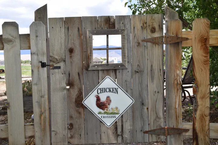 Rustic wood plank fencing with a decorative window opening and metal latch hardware