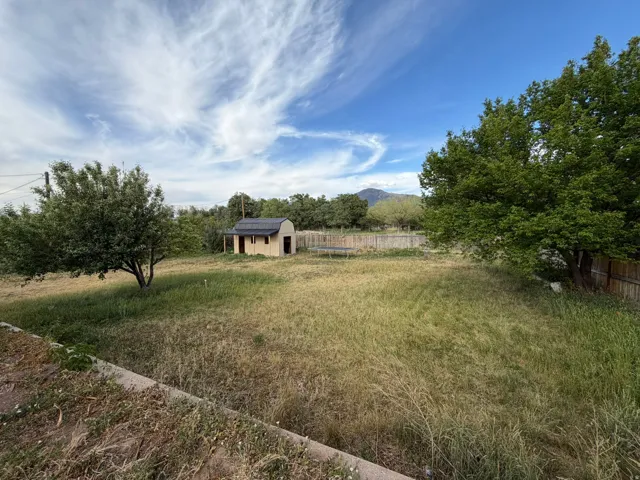 Expansive outdoor space featuring a detached shed structure, mature trees, and a distant mountain backdrop