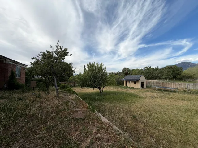 Expansive yard featuring a detached shed with a gambrel roof, mature perimeter trees, and a wooden fence