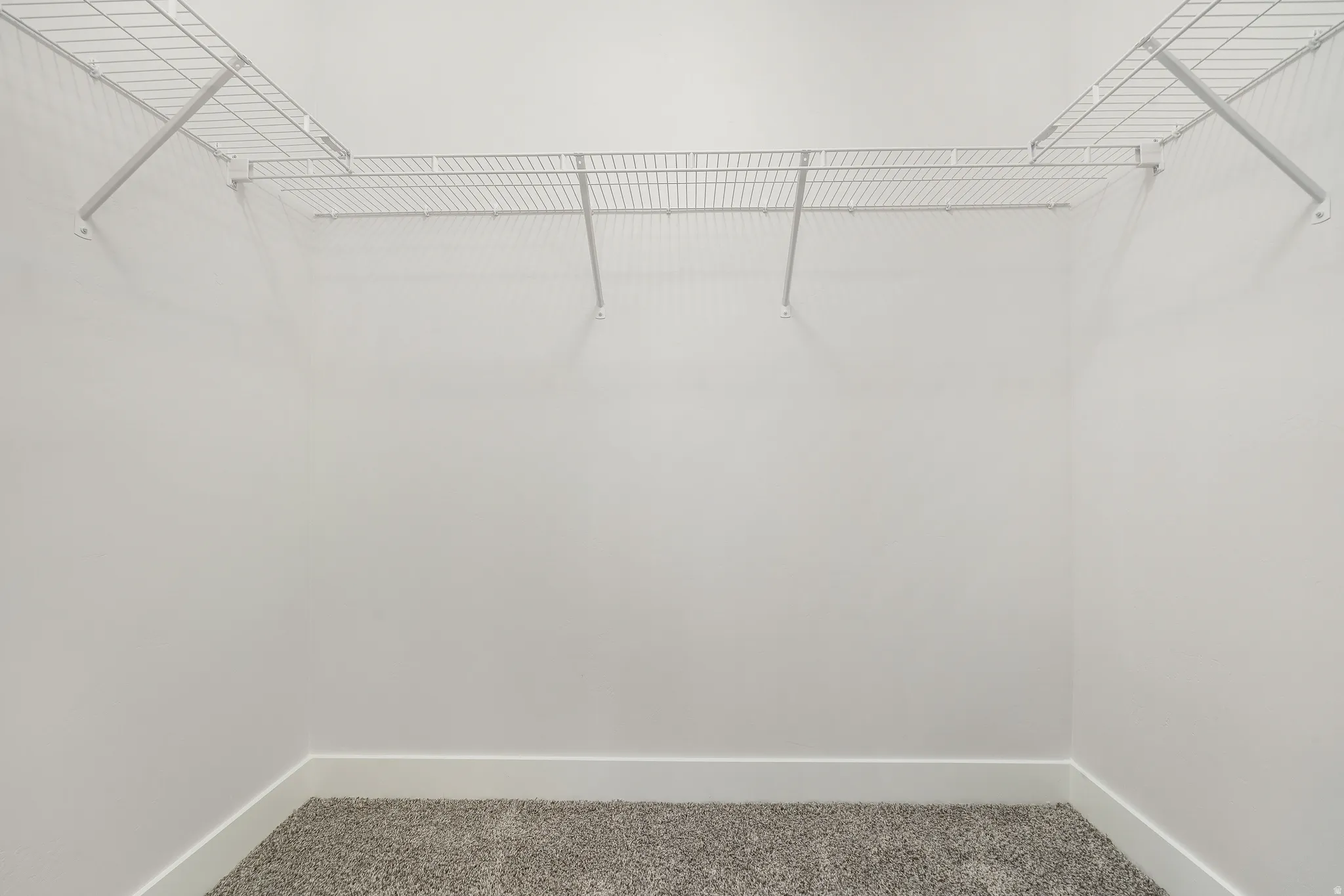 Walk-in closet featuring white wire shelving, white painted walls, white baseboards, and gray carpet flooring