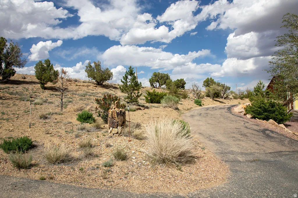 Paved driveway ascending a natural landscape with sparse desert vegetation and scattered trees