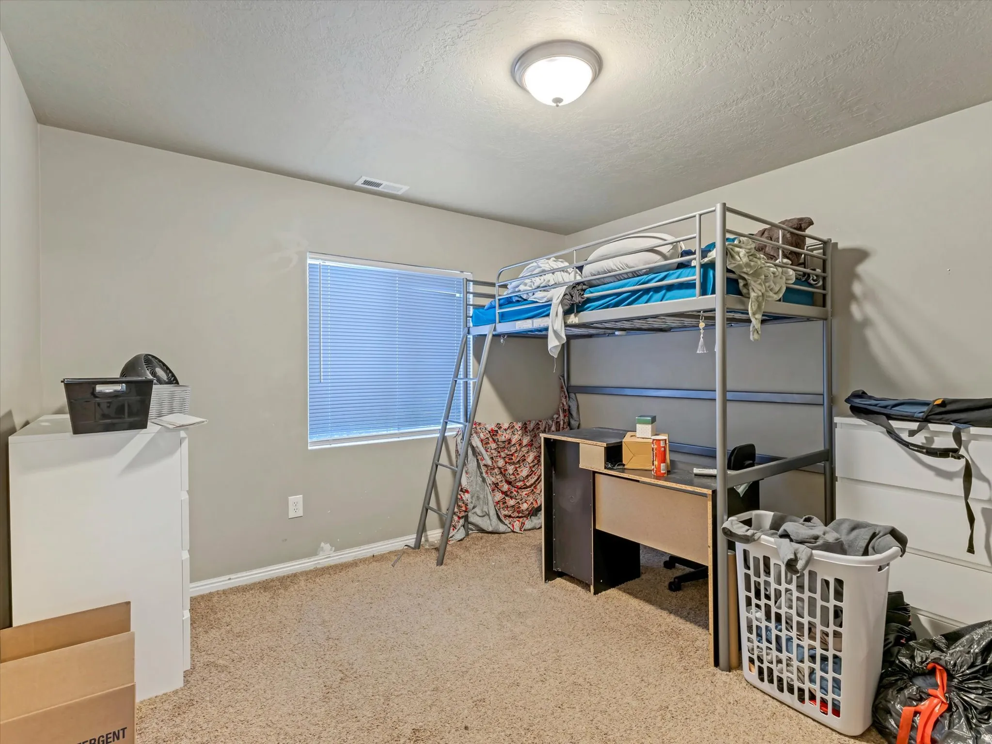 Neutral-toned walls complement the textured carpet flooring
