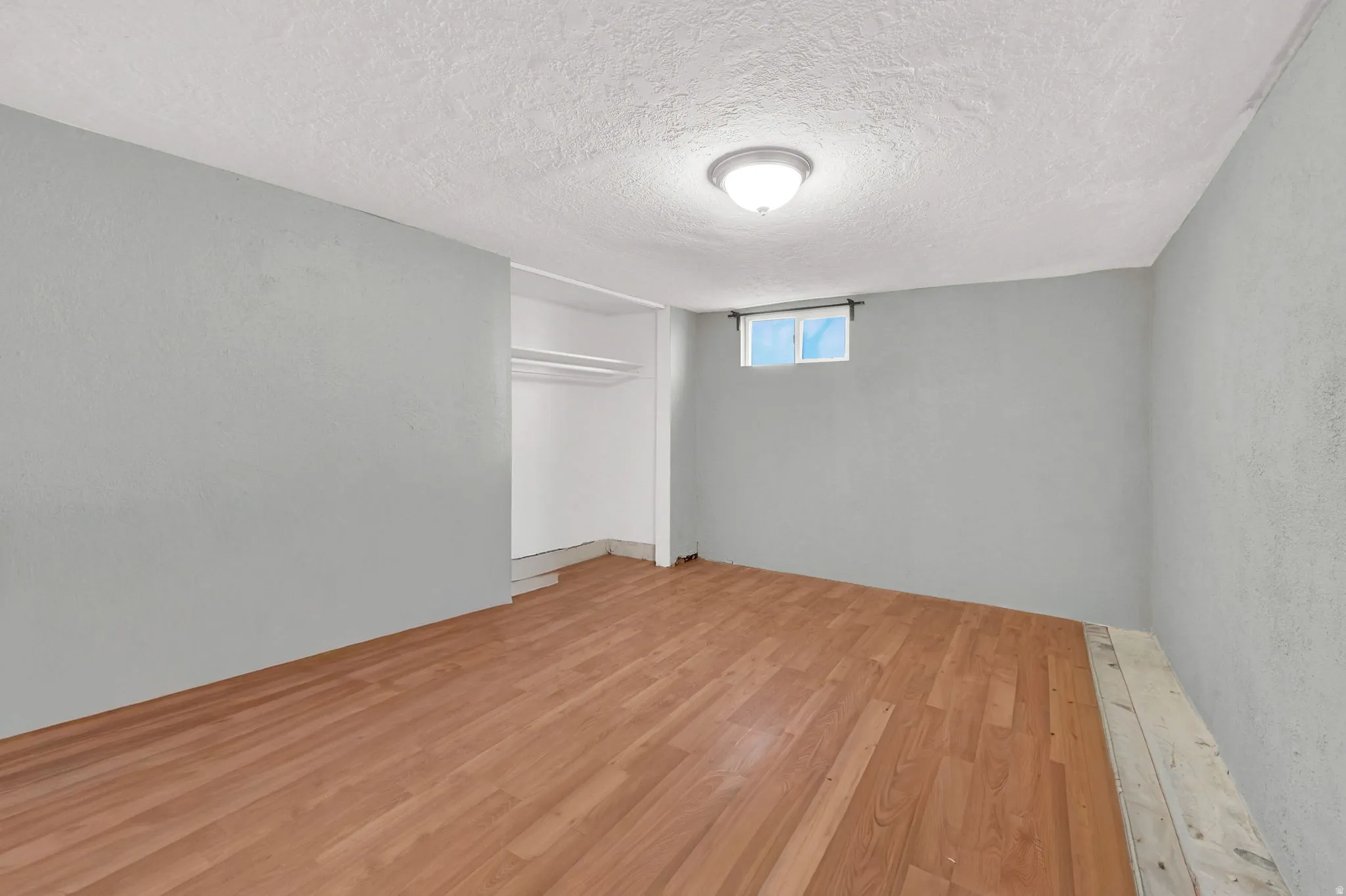 Interior room featuring wood-finish flooring, light gray wall paint, and a built-in closet with shelving and hanging rods