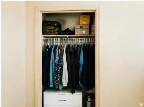 Recessed closet space featuring a built-in hanging rod and upper storage shelf