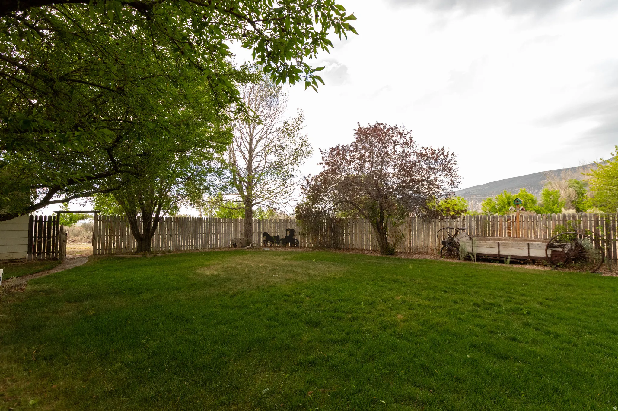 Expansive green lawn framed by a wooden privacy fence