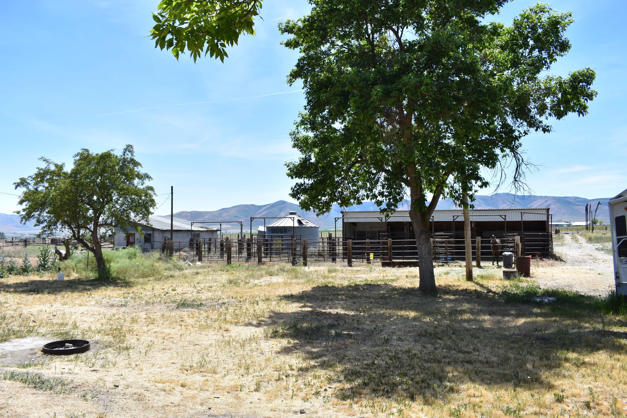 Expansive outdoor area featuring mature trees and a fenced enclosure
