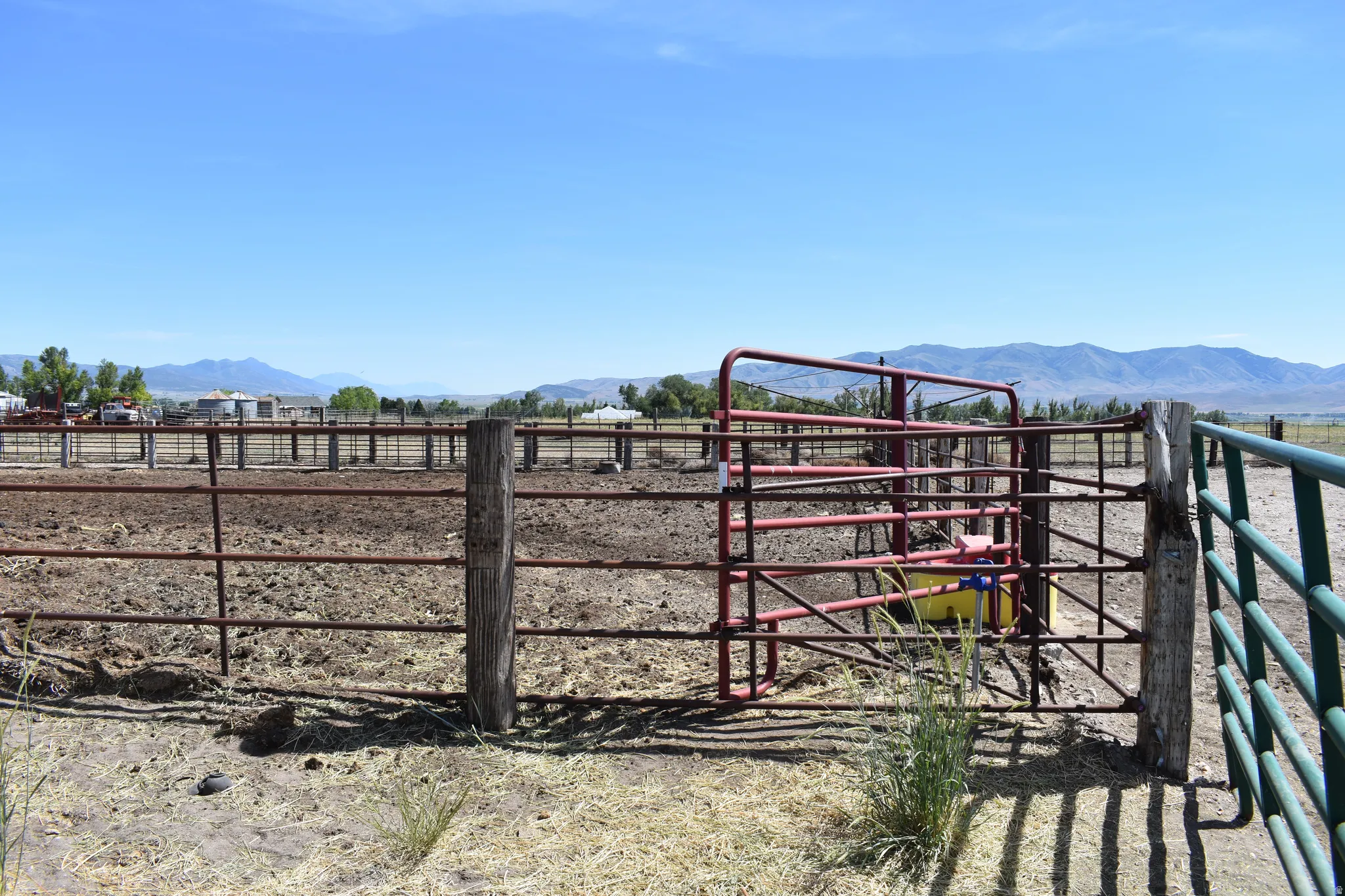 Extensive fenced paddock area with durable metal gates and sturdy wood posts