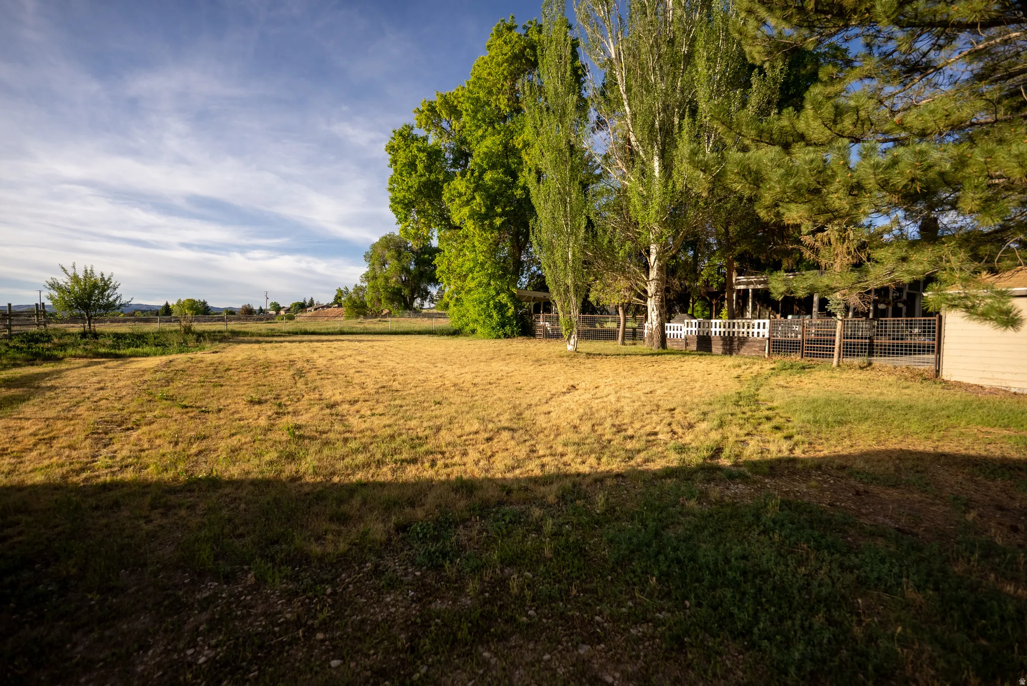 Expansive outdoor area featuring a combination of natural grass and mature trees
